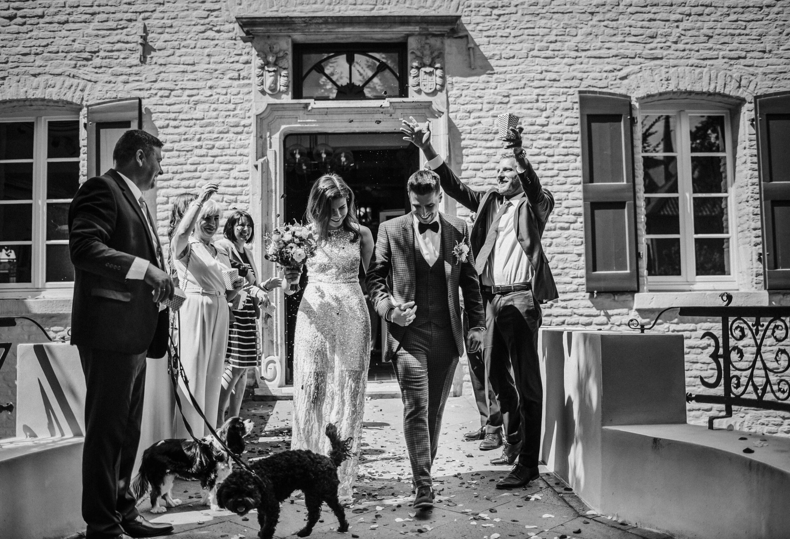 Hochzeitspaar verlässt mit Gästen und zwei Hunden ein Gebäude; Blumenblätter werden geworfen.